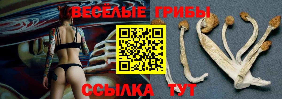 Стрежевой  Галлюциногенные грибы мухоморы  Вход с VPN  Псилоцибиновые грибы мухоморы 